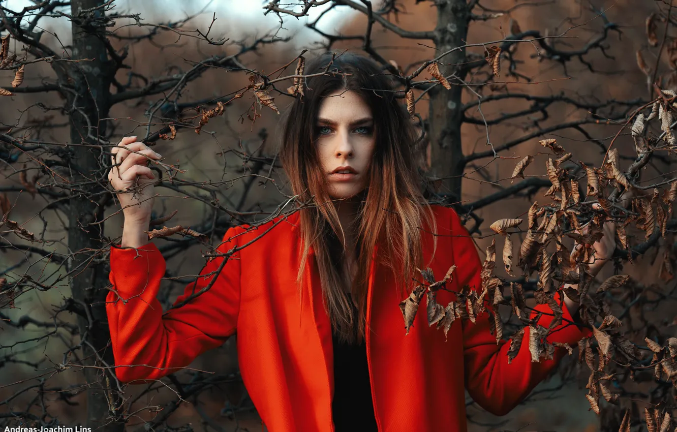 Photo wallpaper look, trees, branches, pose, model, portrait, makeup, hairstyle