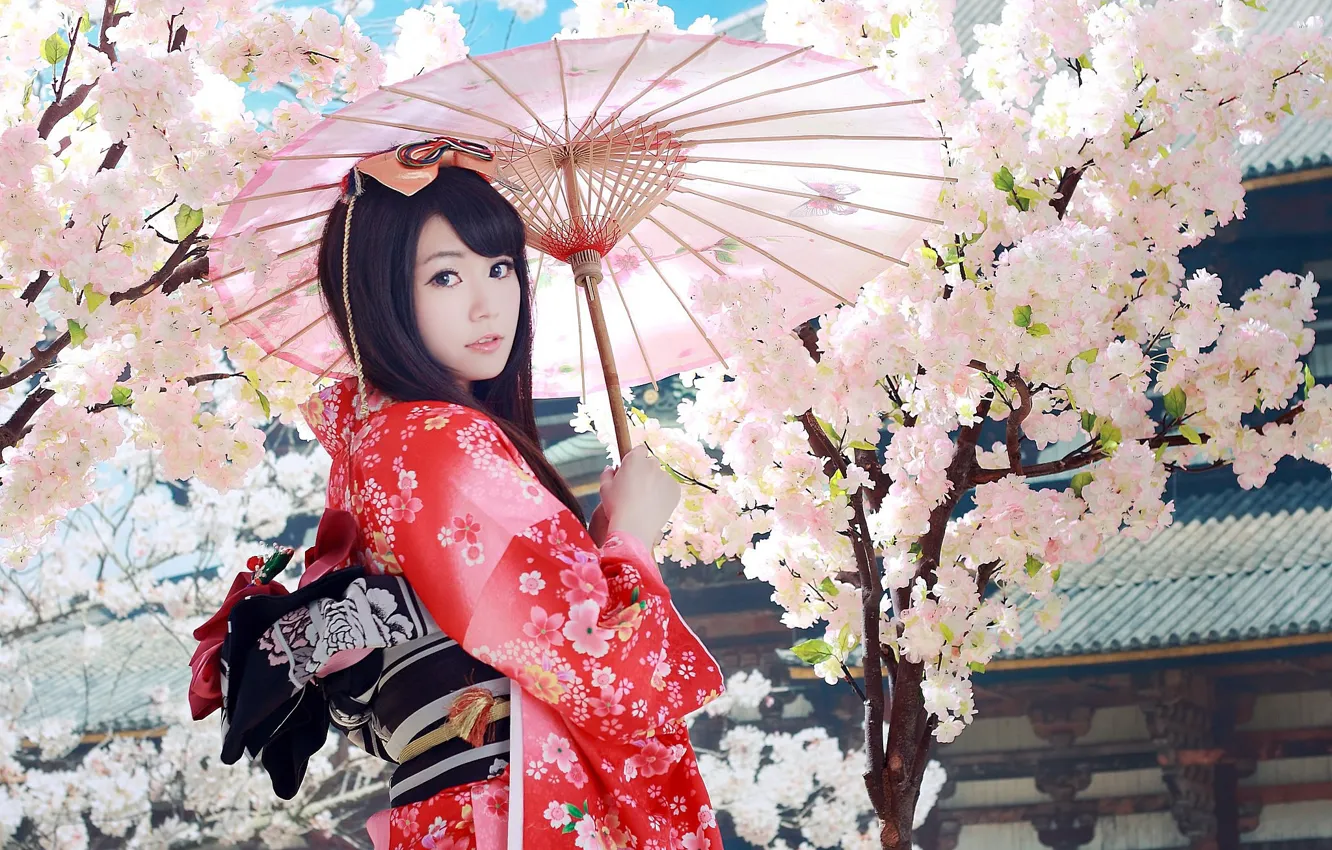 Photo wallpaper umbrella, Sakura, geisha, kimono, Asian