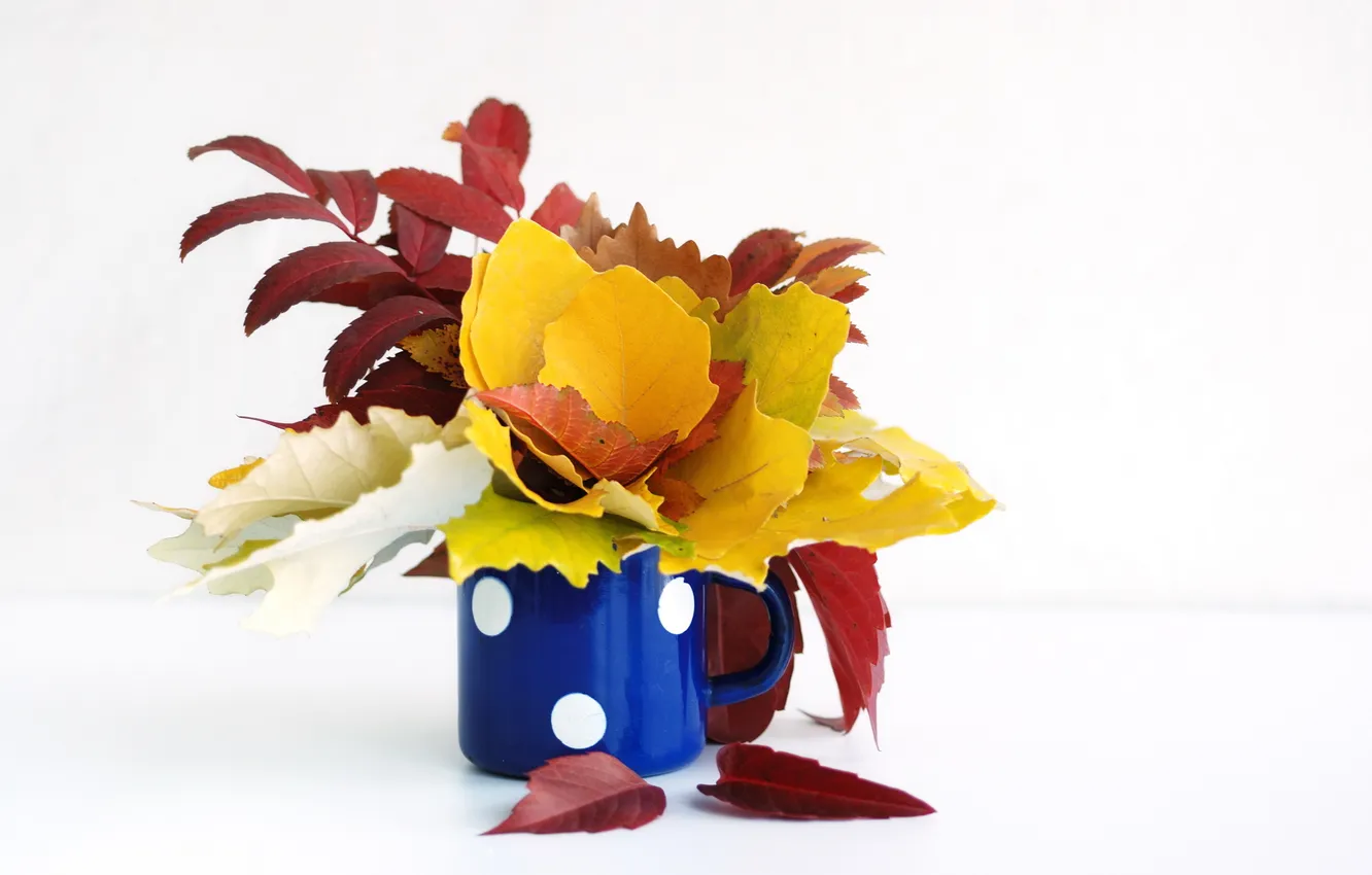 Photo wallpaper autumn, leaves, cup, bouquet