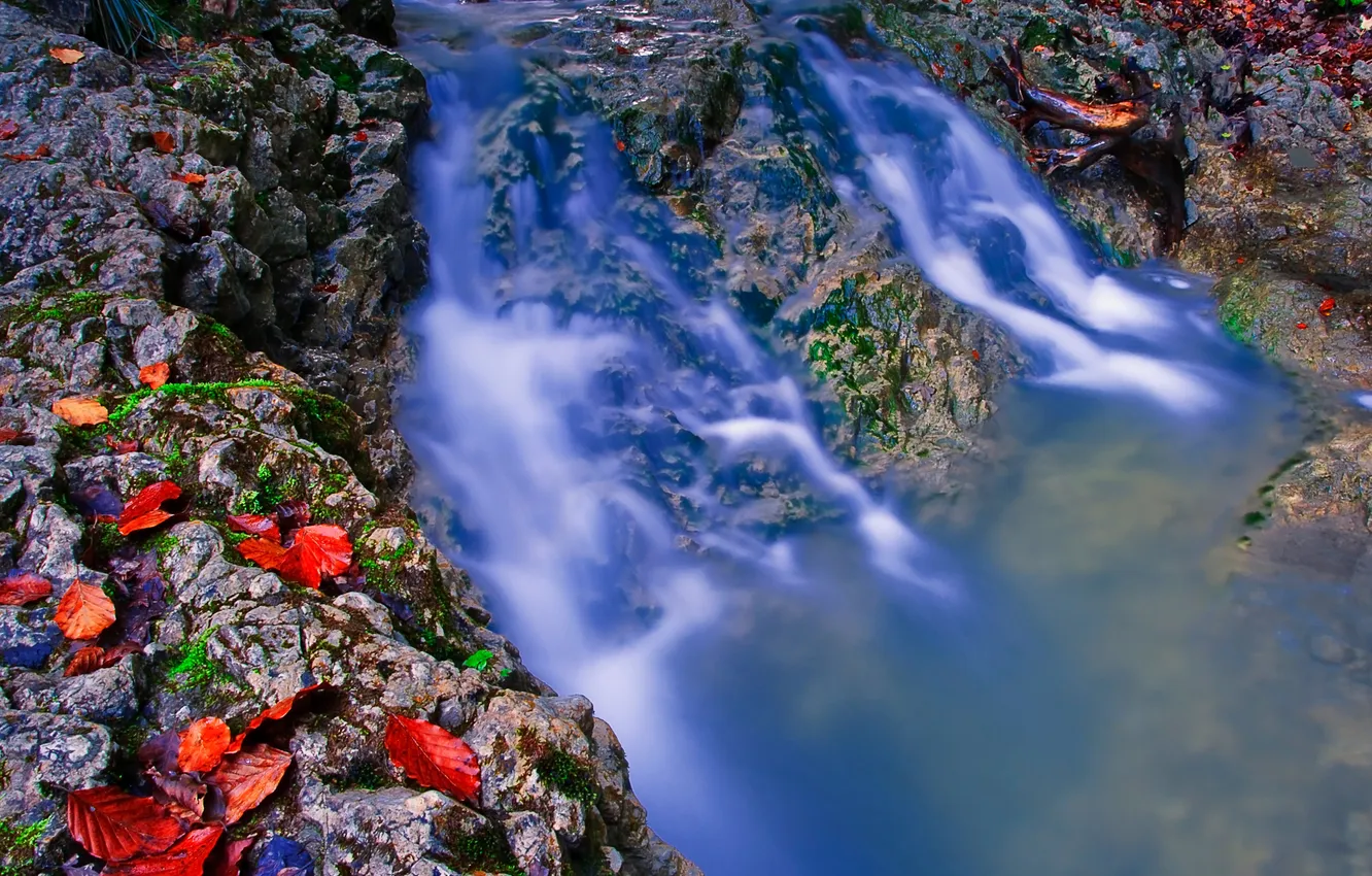 Photo wallpaper leaves, river, stones, stream