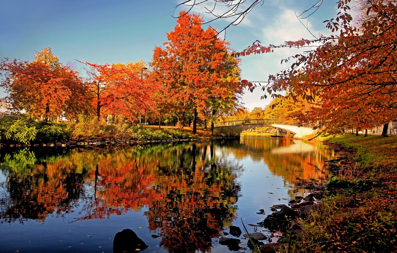 Photo wallpaper autumn, reflection, trees, pond, foliage, Nature, the bridge, trees