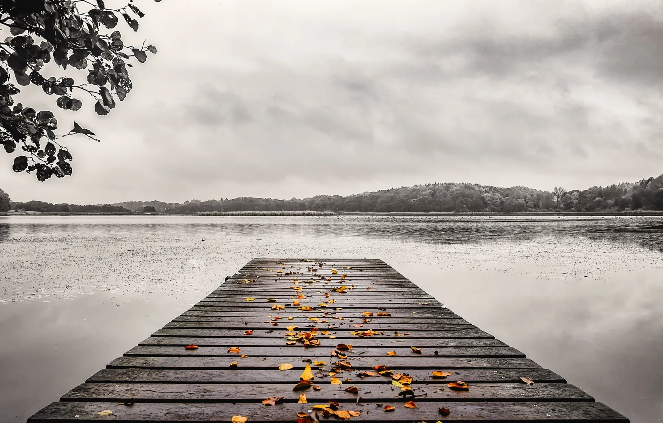 Photo wallpaper autumn, leaves, bridge, lake