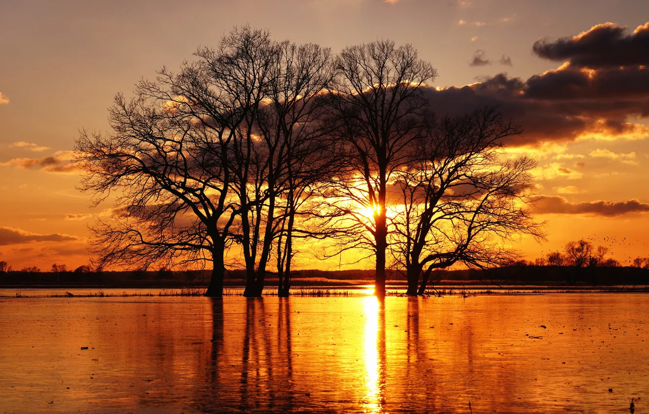 Photo wallpaper autumn, the sky, water, the sun, clouds, light, trees, landscape