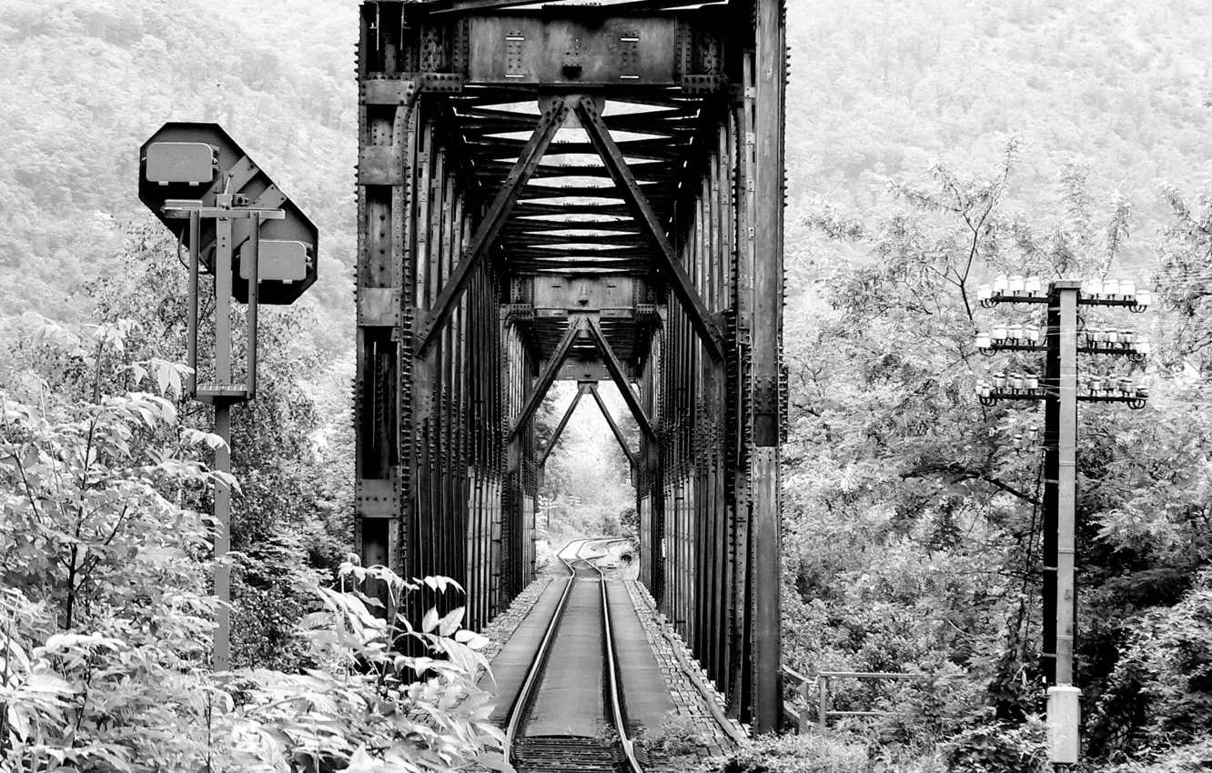 Photo wallpaper road, forest, bridge, photo, iron, black and white, black and white