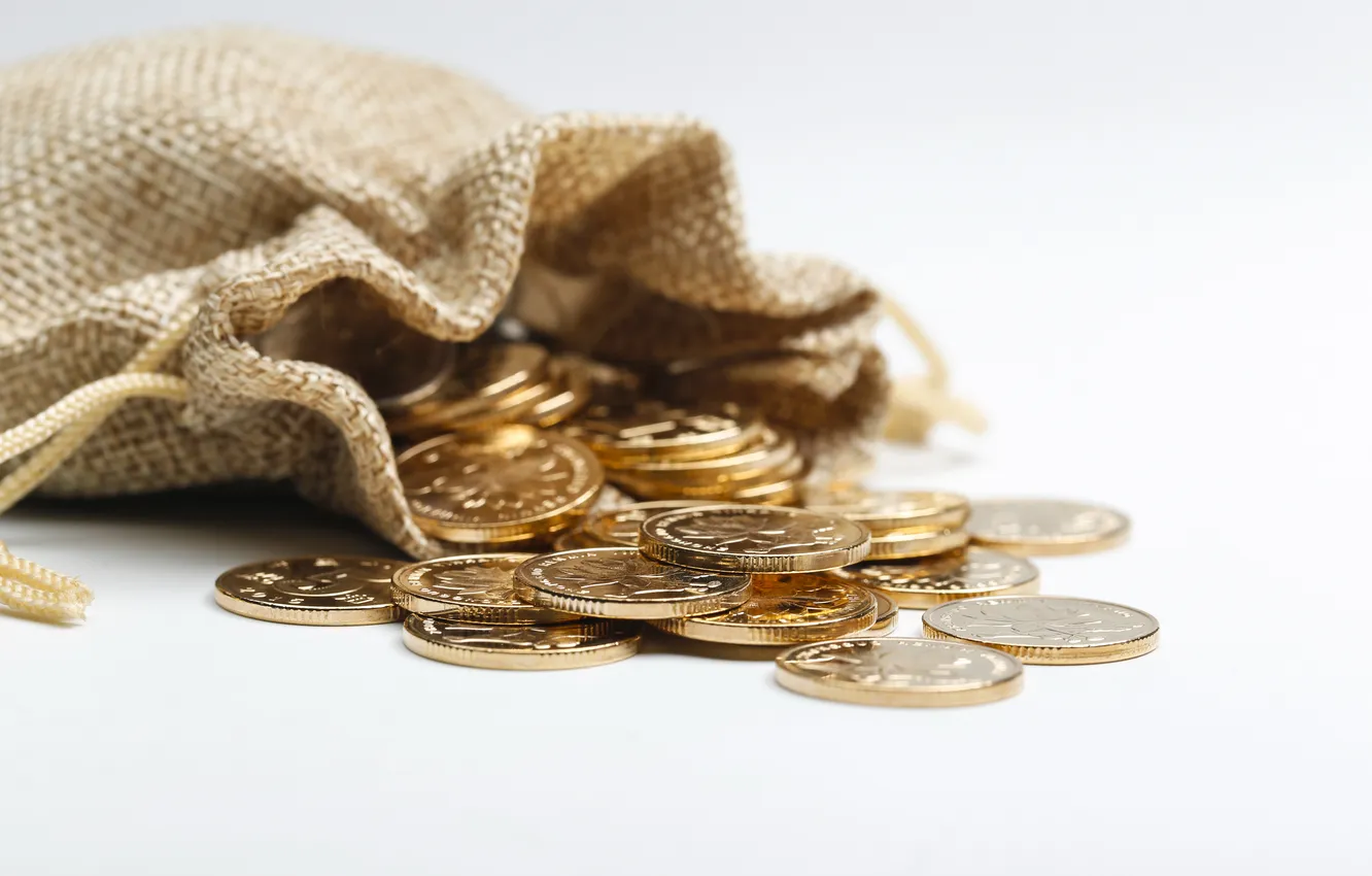 Photo wallpaper golden, bag, coins, cloth, rmb