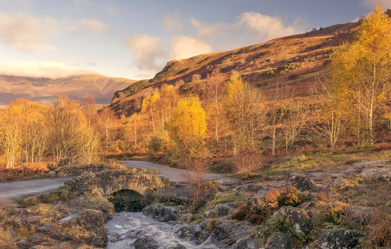 Photo wallpaper autumn, trees, mountains, England, Cumbria