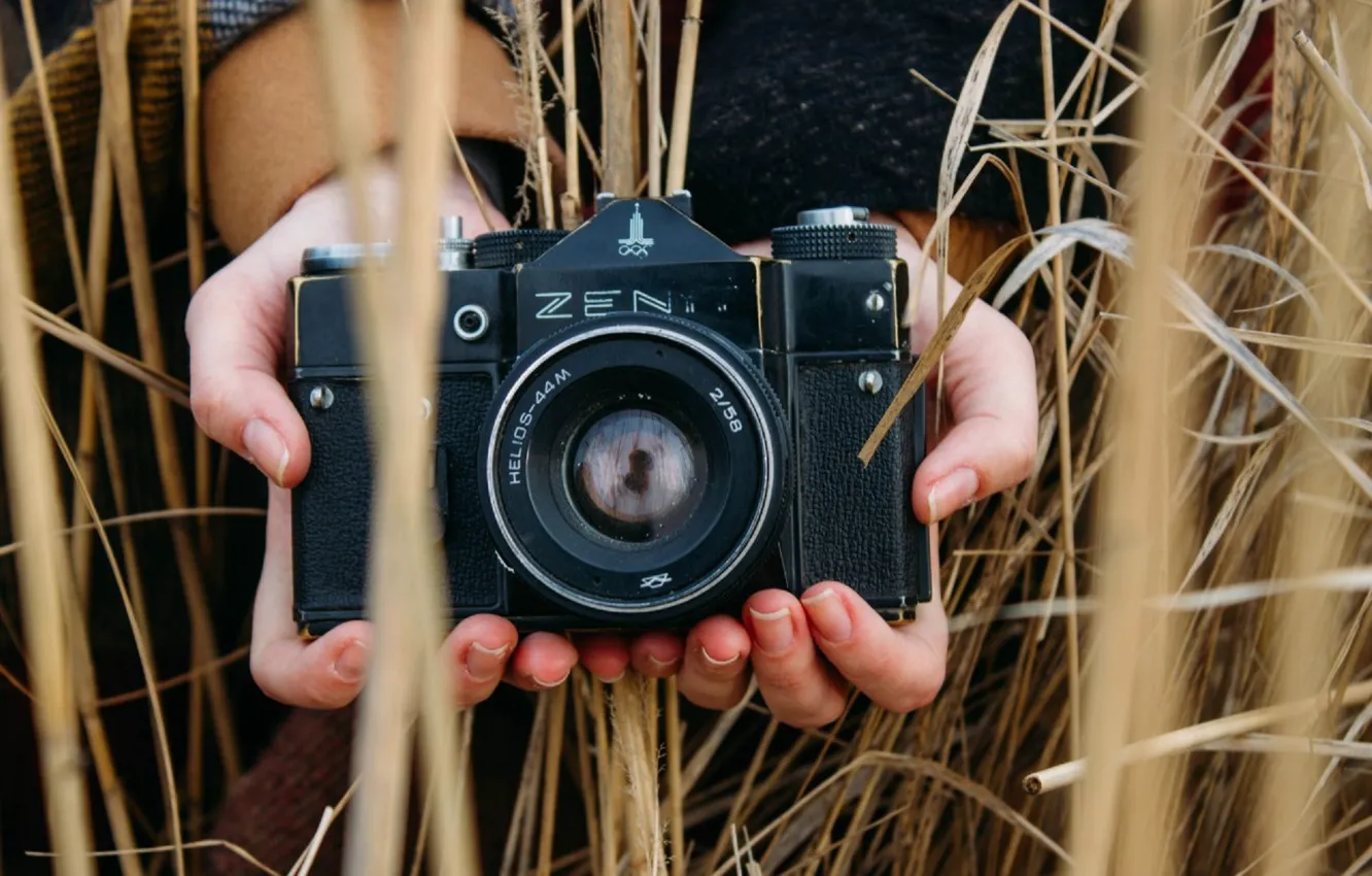 Photo wallpaper field, retro, hands, spikelets, the camera