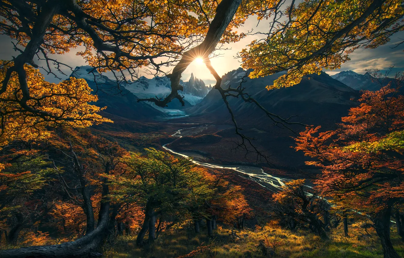 Photo wallpaper autumn, the sun, light, trees, branches, nature, valley