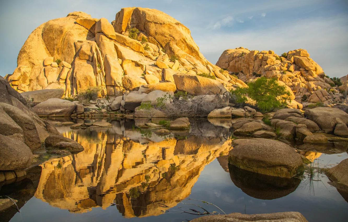 Photo wallpaper the sun, lake, stones, CA, USA, the bushes, Joshua Tree National Park, Barker Dam
