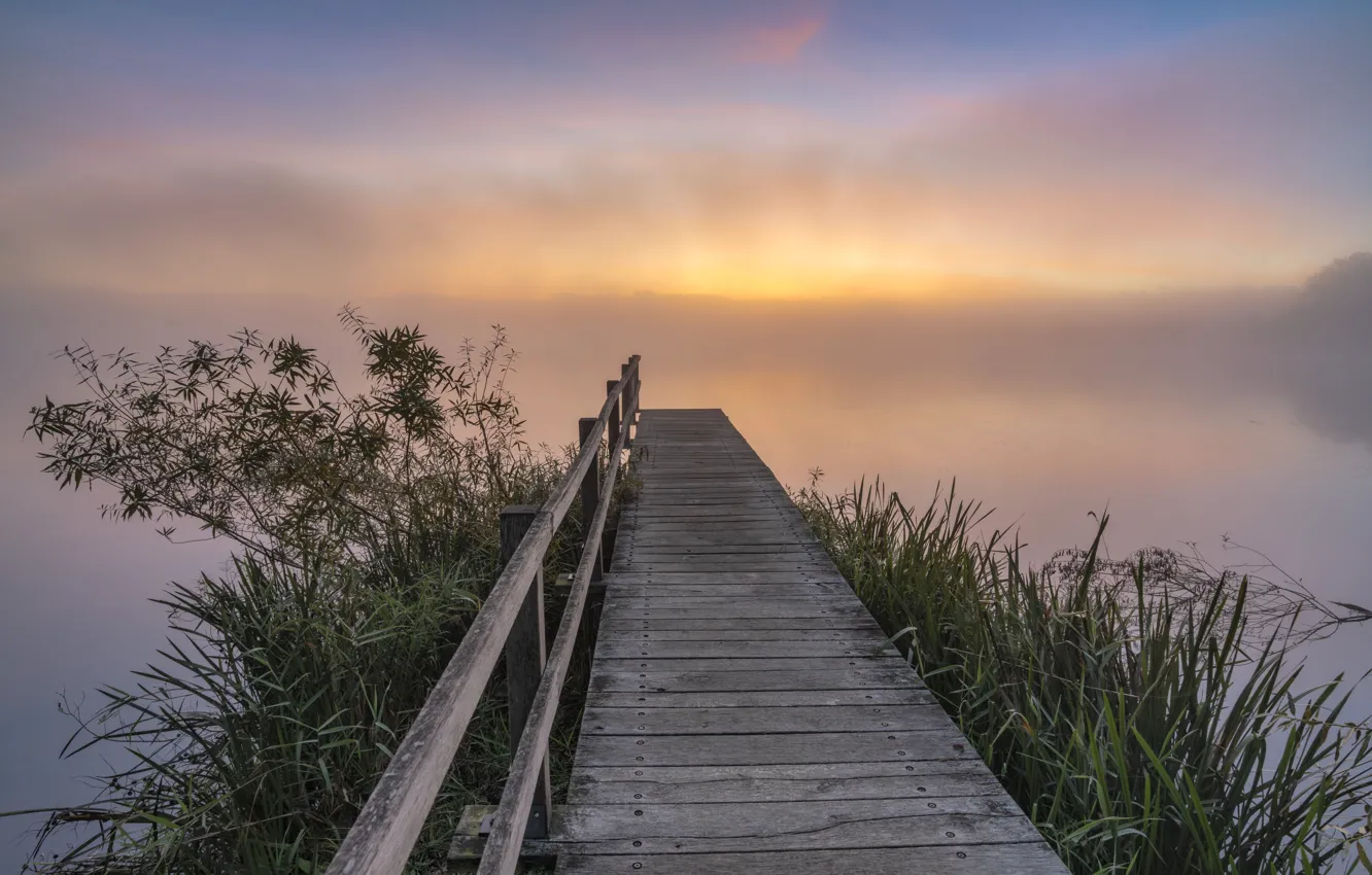 Photo wallpaper morning, pierce, the bridge, bridges, pond