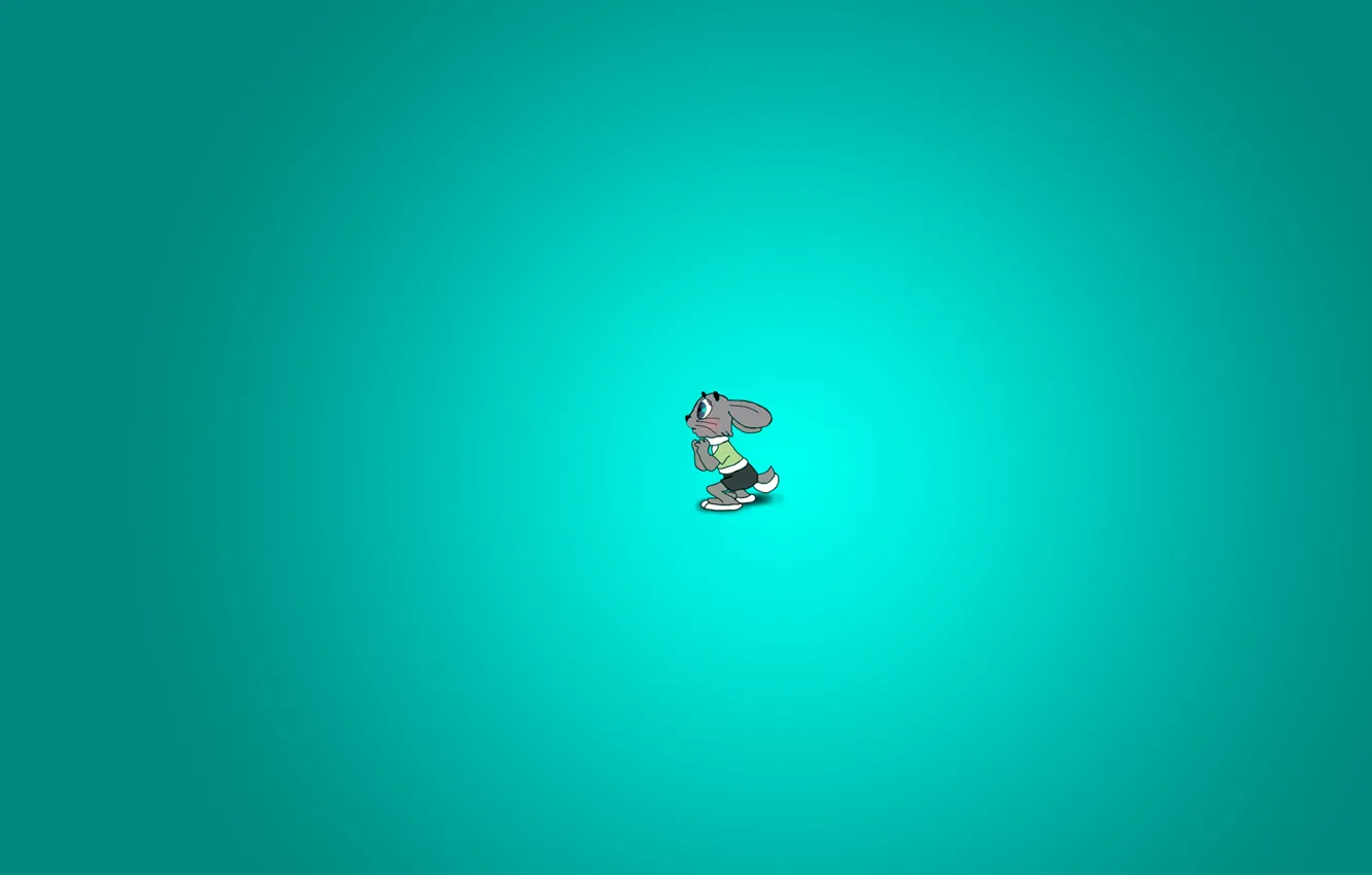 Photo wallpaper hare, wait