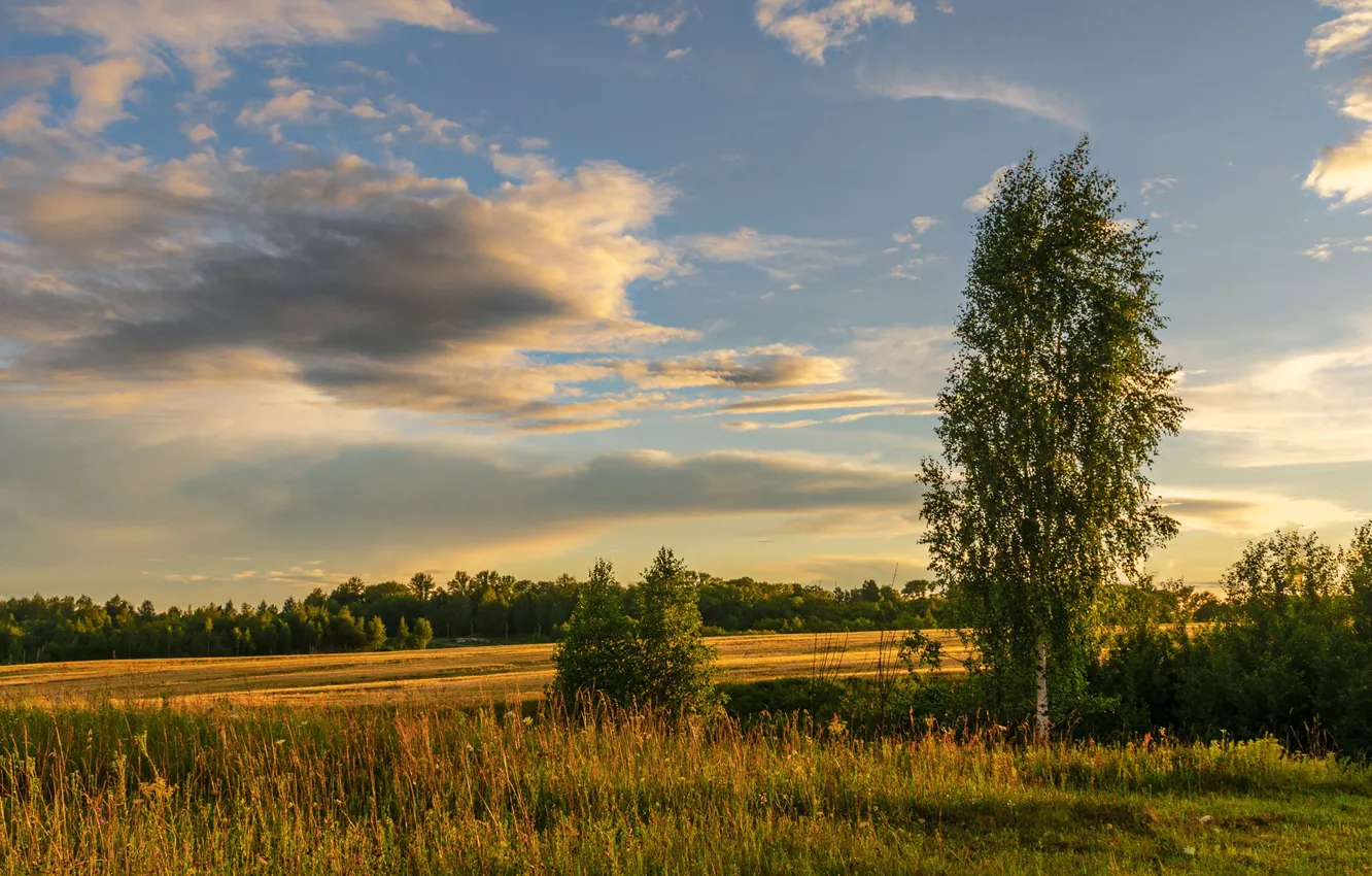 Photo wallpaper clouds, trees, nature, Berezutski, Alexander