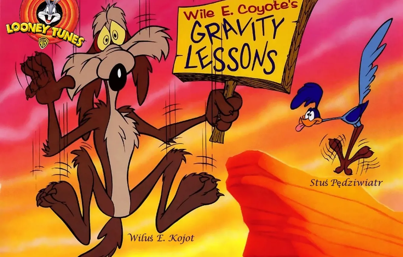 Photo wallpaper animals, cartoon, comic, Looney Tunes, Road Runner, Warner Bros, Wile E Coyote's