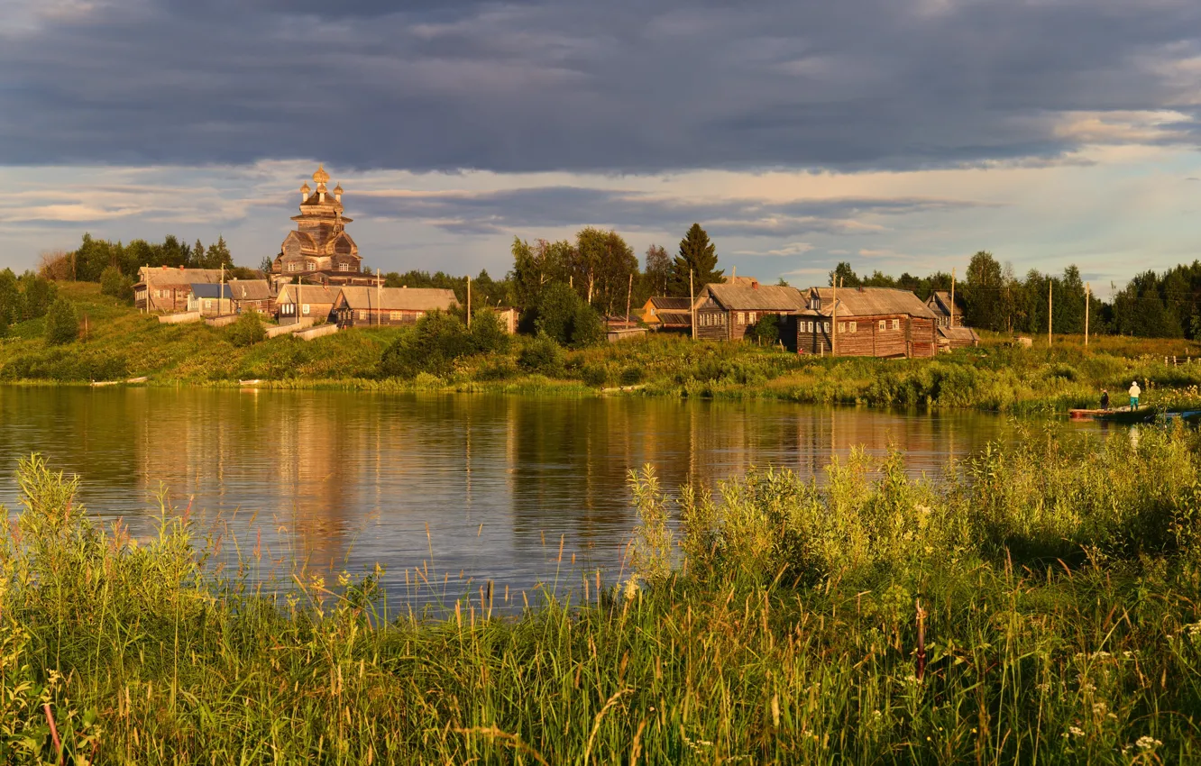 Photo wallpaper greens, forest, summer, the sky, grass, light, clouds, nature