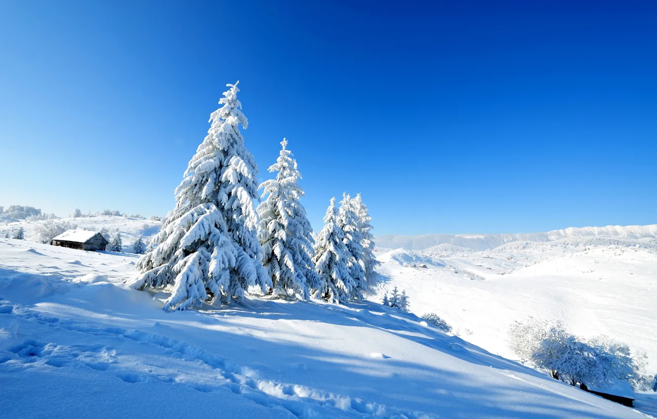 Photo wallpaper Winter, Snow, Hills, Ultramarine, The snow, Hut, Snow-Covered Spruce