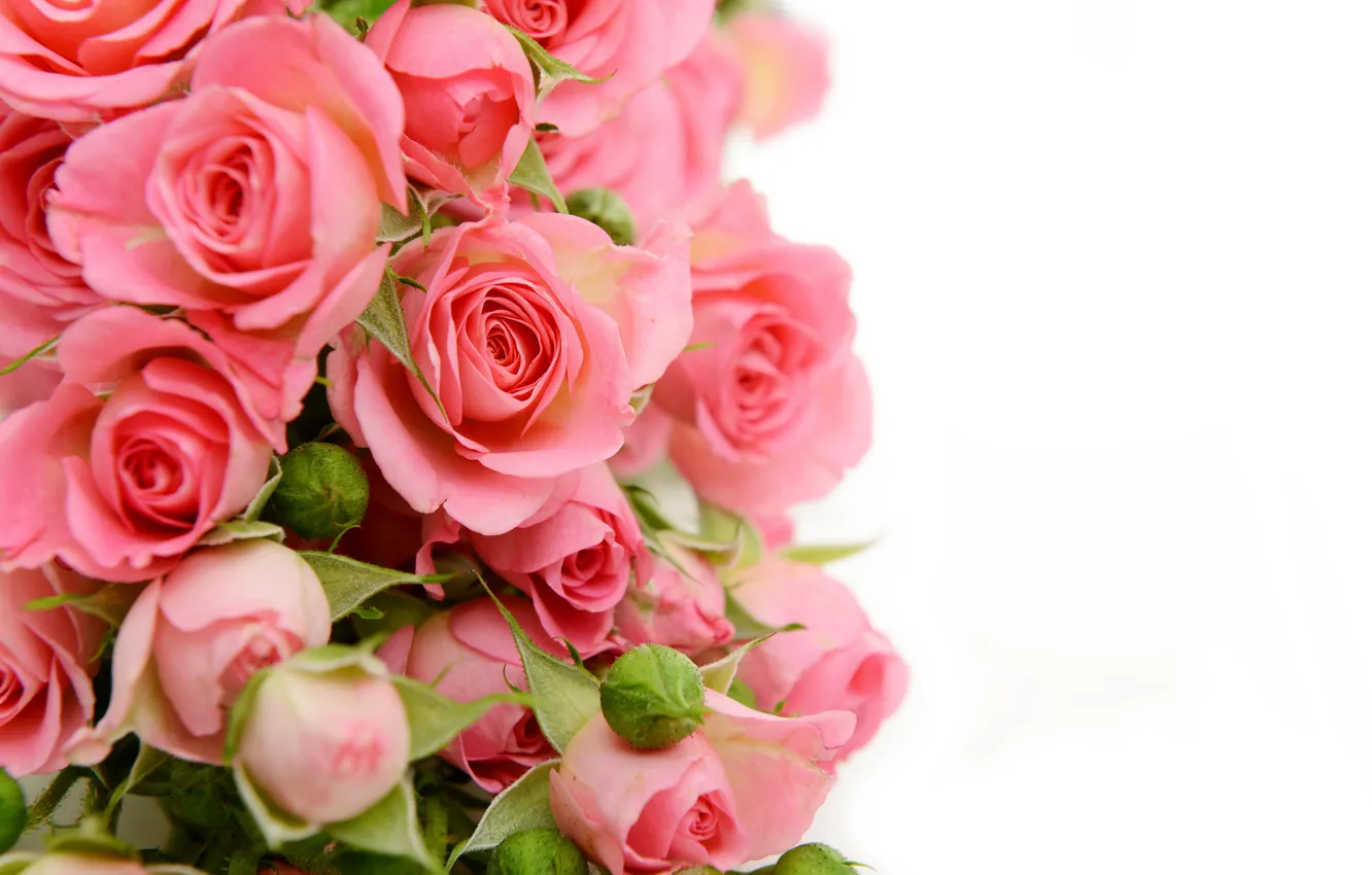 Photo wallpaper flowers, roses, bouquet