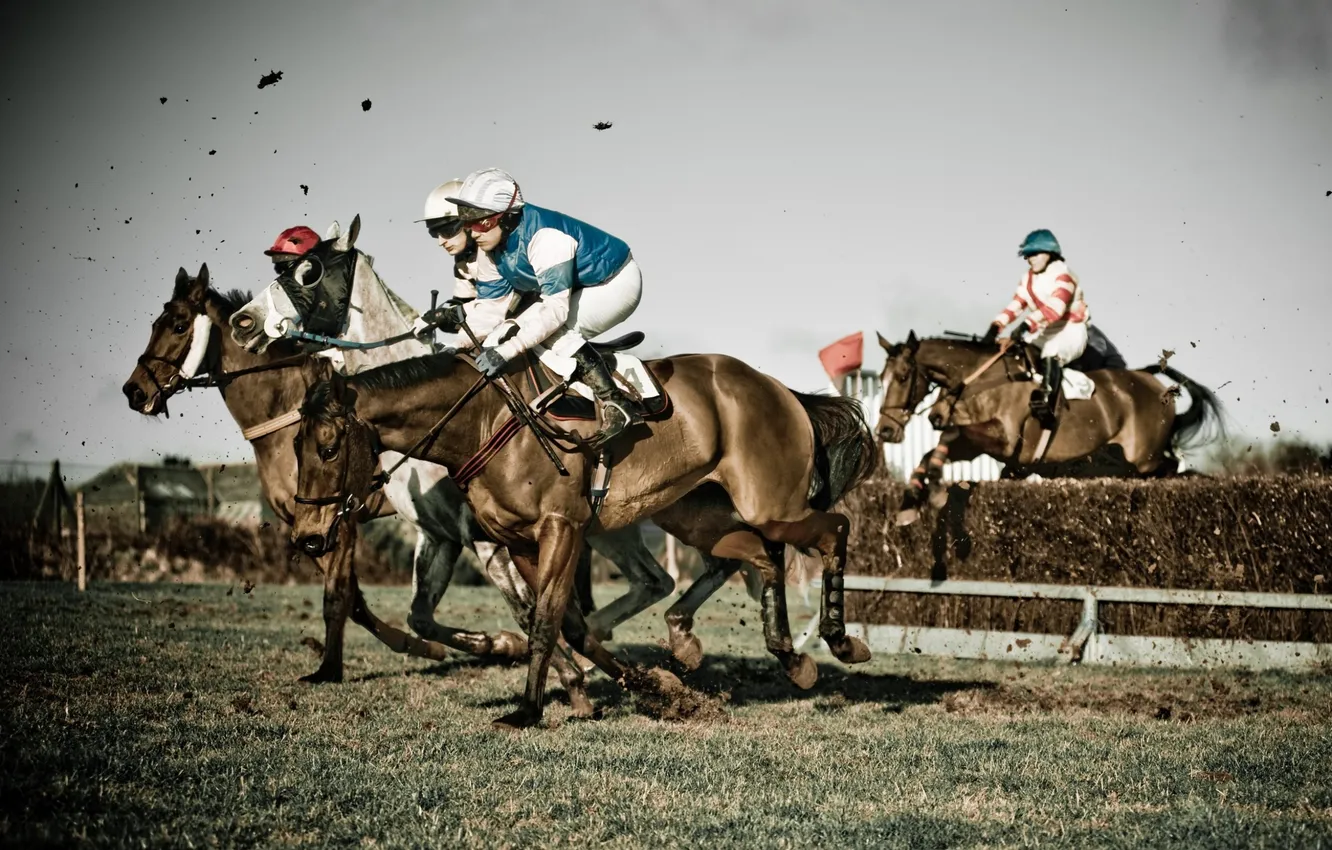 Photo wallpaper horses, mud, jockey, obstacle, horse race