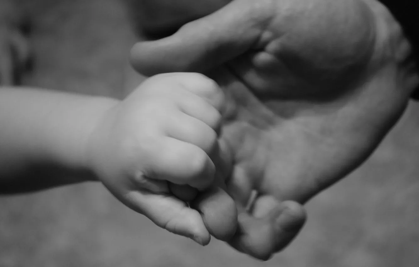 Photo wallpaper children, hands, father, black and white, baby