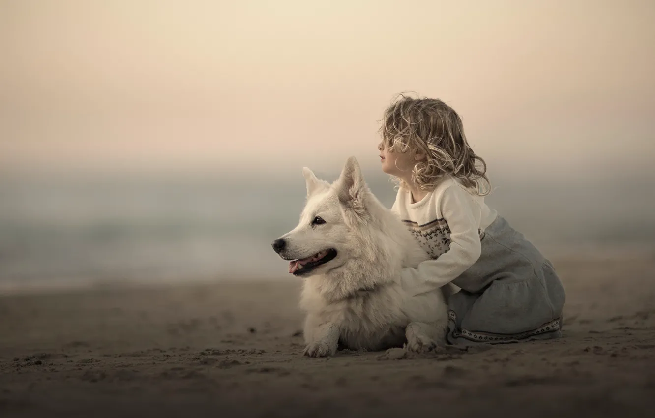 Photo wallpaper sand, dog, girl, friends, bokeh, The white Swiss shepherd dog