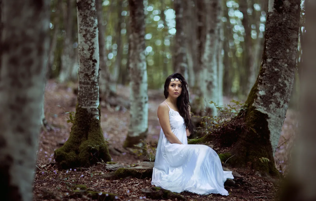 Photo wallpaper forest, look, girl, trees, nature, pose, Park, moss