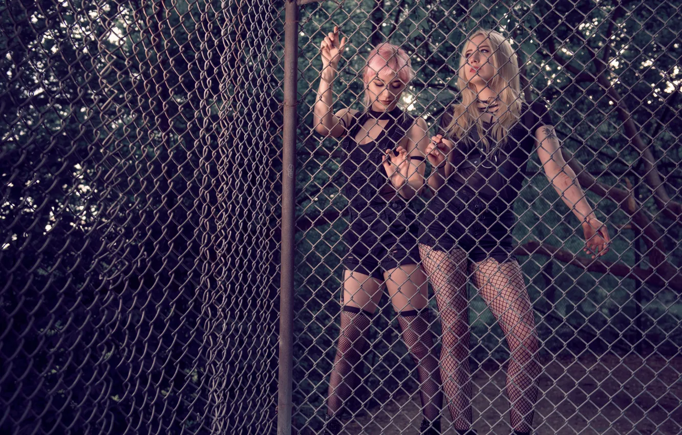 Photo wallpaper girls, mesh, the fence