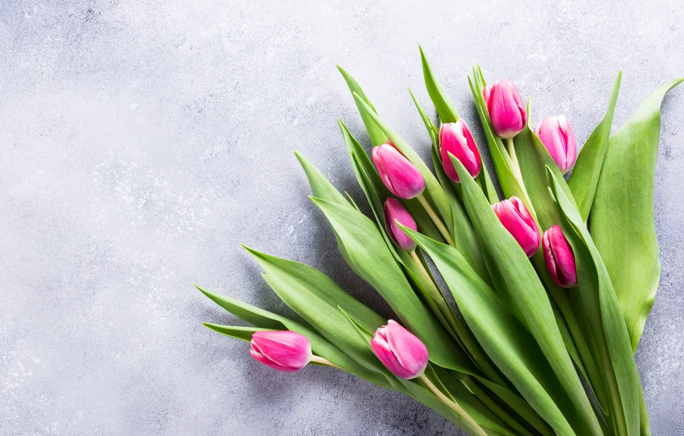 Photo wallpaper background, bouquet, tulips, Iryna Melnyk