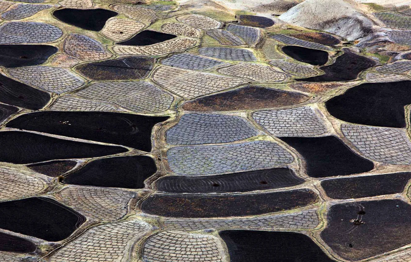 Photo wallpaper field, landscape, India, flap, Himachal Pradesh