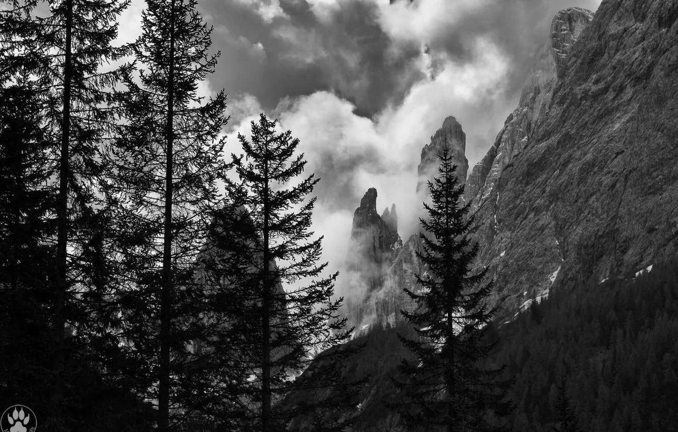 Photo wallpaper the sky, clouds, trees, mountains, nature, rocks, black and white, monochrome