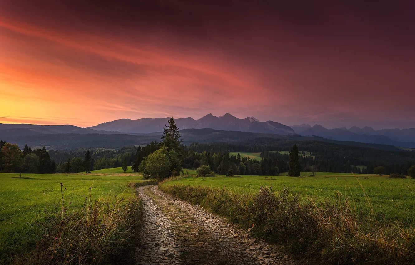 Photo wallpaper road, forest, landscape, sunset, mountains, nature, hills, meadow