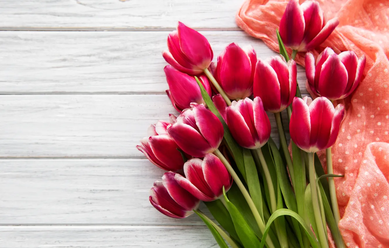 Photo wallpaper flowers, bouquet, tulips, pink, pink, flowers, tulips