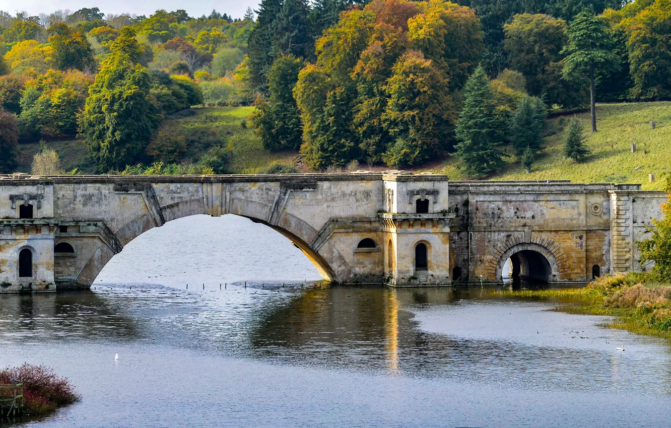 Photo wallpaper autumn, forest, trees, bridge, Park, river, England, Blenheim Park