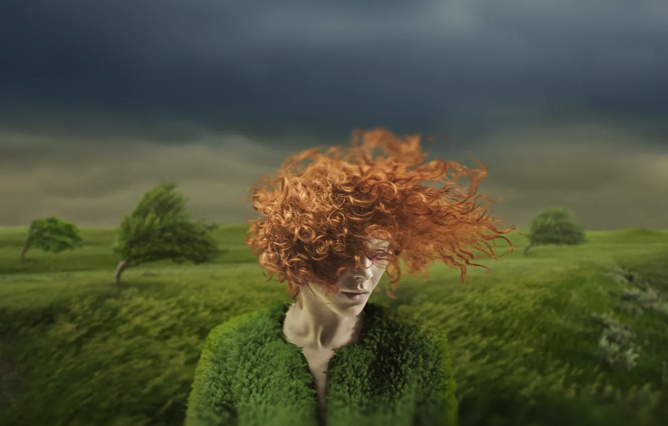 Photo wallpaper girl, trees, the wind, bad weather, redhead
