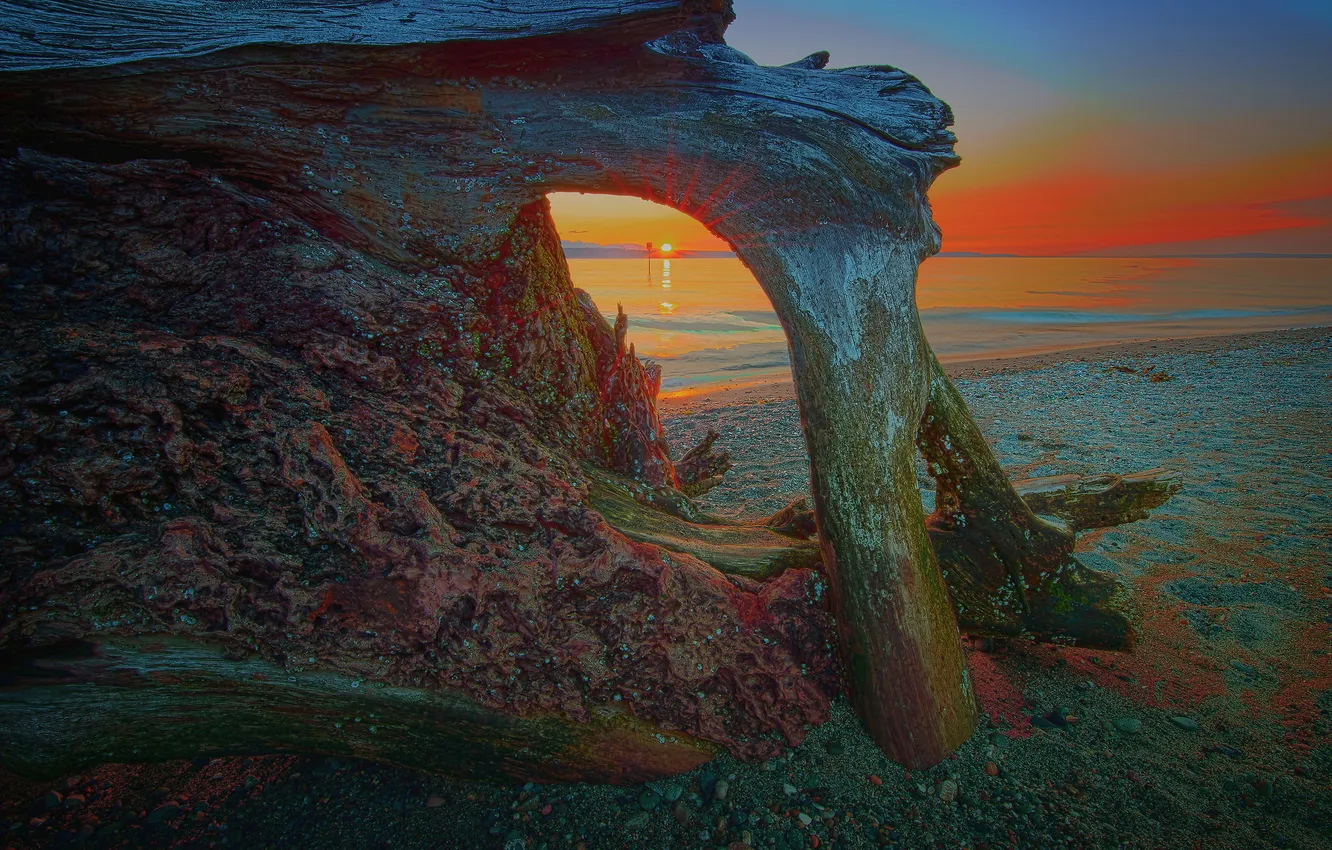 Photo wallpaper the sky, clouds, sunset, lake, snag