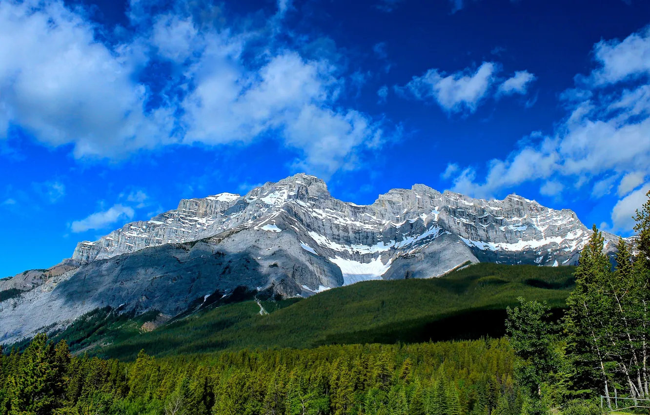 Photo wallpaper forest, mountains, Canada, Albert, Banff National Park, Alberta, Canada, Banff