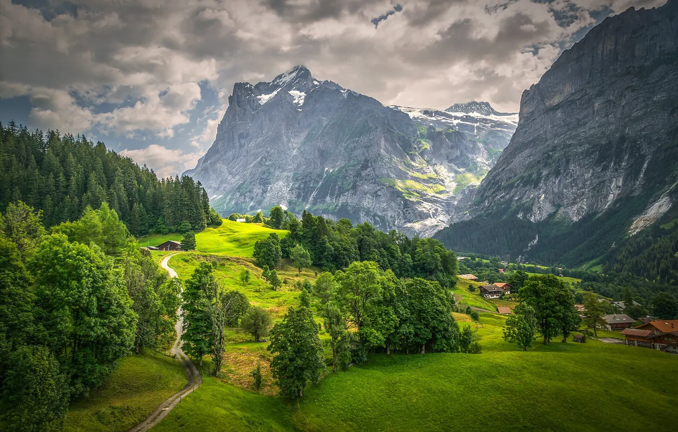Photo wallpaper road, greens, field, forest, the sky, clouds, trees, mountains