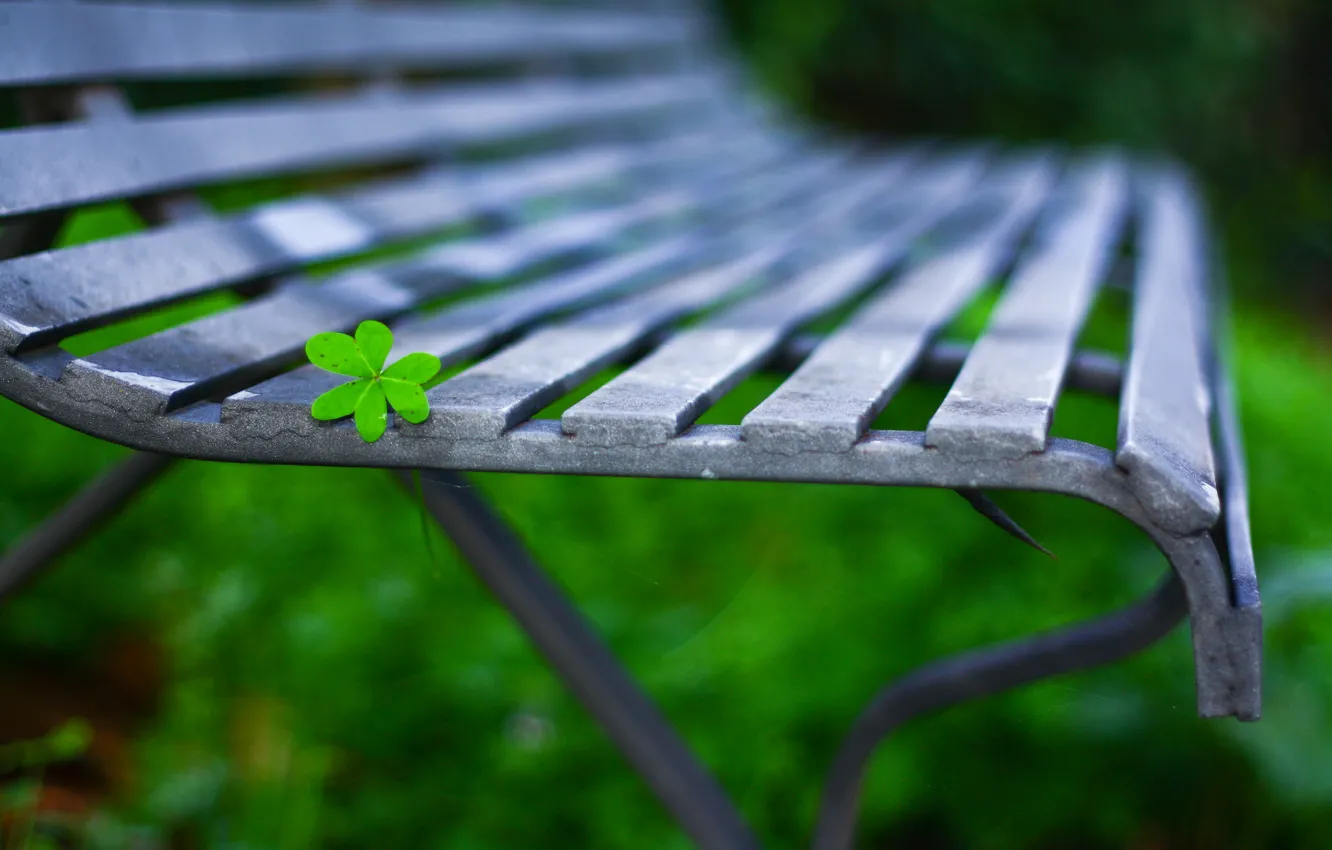 Photo wallpaper macro, bench, background, widescreen, Wallpaper, leaf, shop, wallpaper