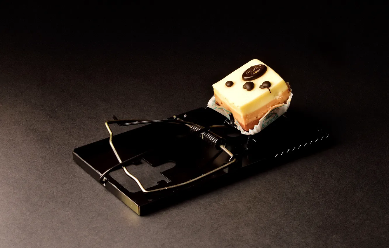 Photo wallpaper background, mousetrap, bait