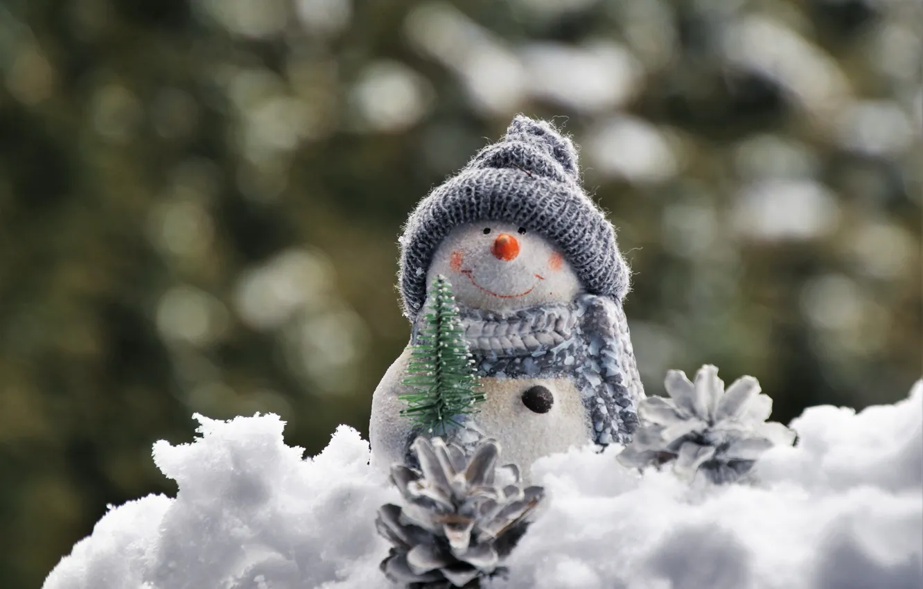 Photo wallpaper winter, snow, smile, holiday, hat, toy, scarf, Christmas