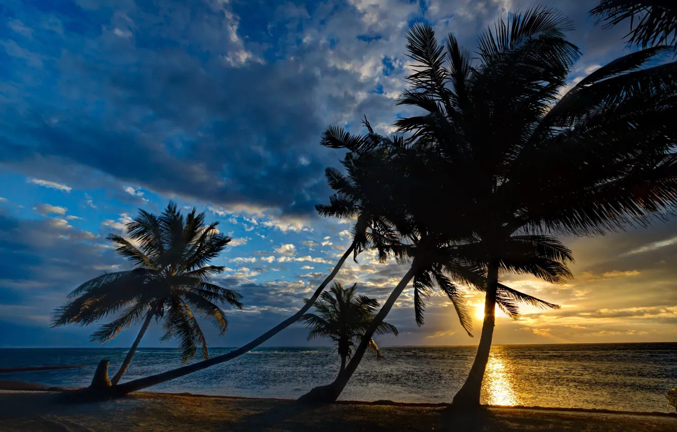 Photo wallpaper sea, sunset, tropics, palm trees, shore