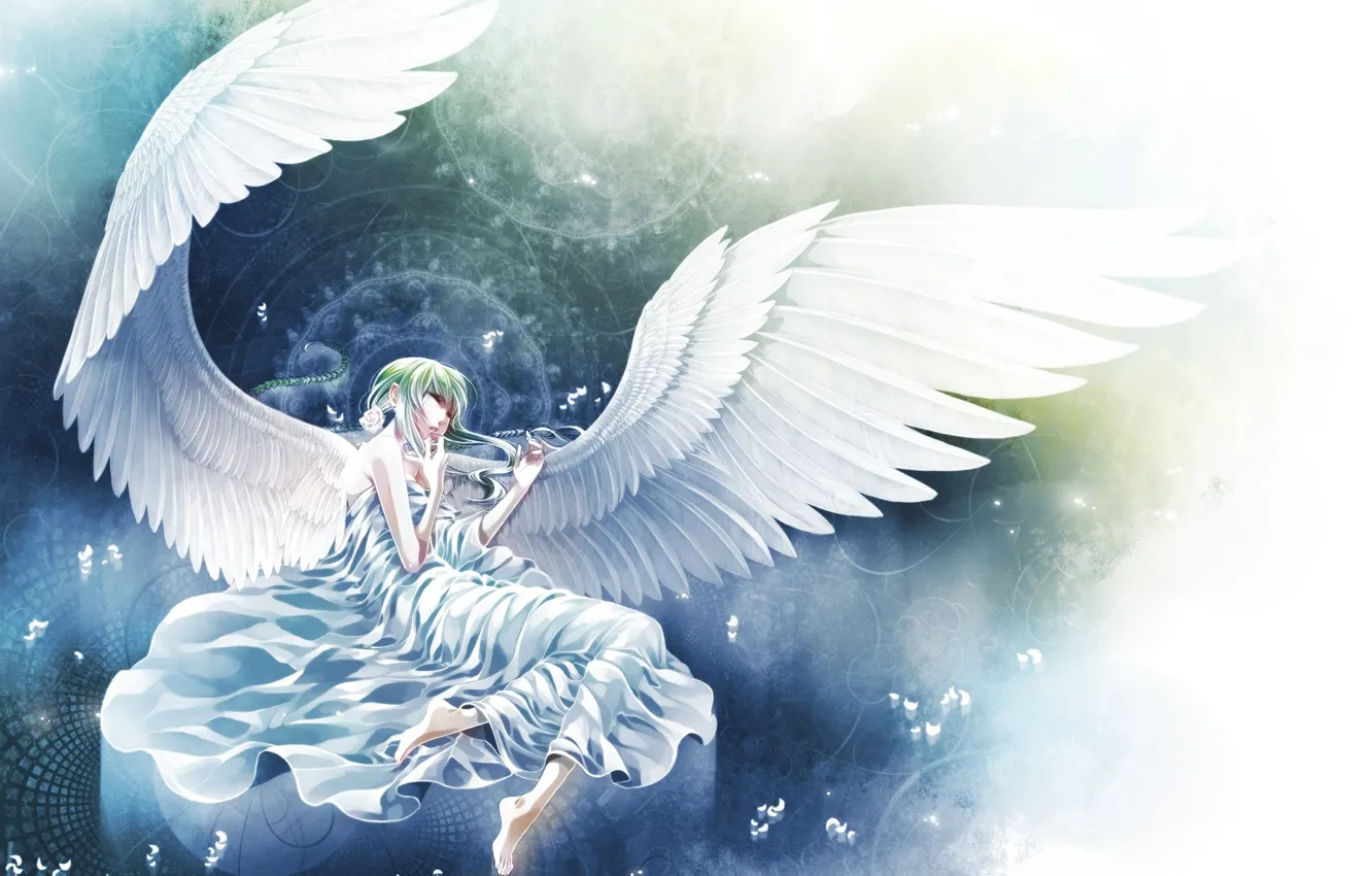 Photo wallpaper circles, wings, angel, petals, lies, braid, white, angel