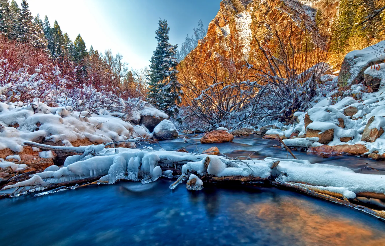 Photo wallpaper winter, forest, the sky, snow, trees, mountains, river, stones