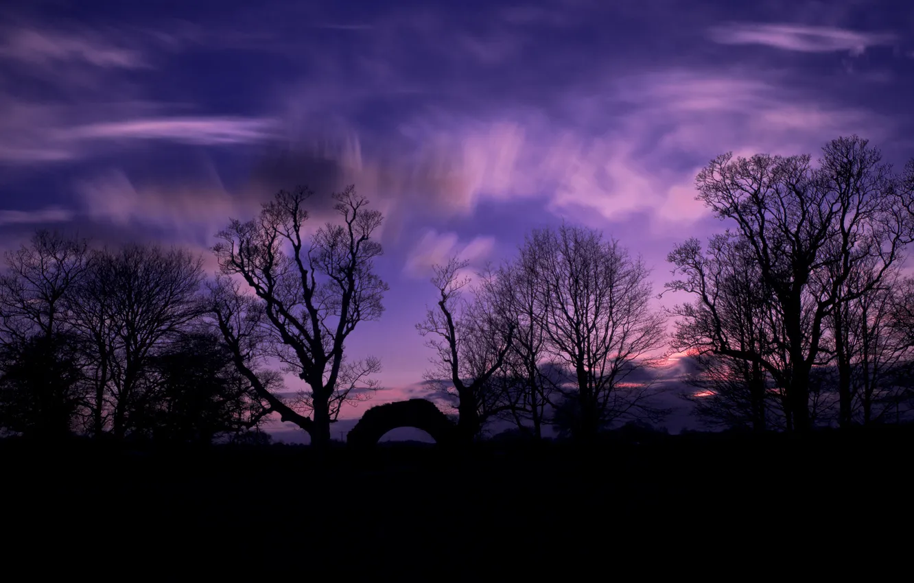 Photo wallpaper the sky, clouds, trees, sunset, the evening, silhouette