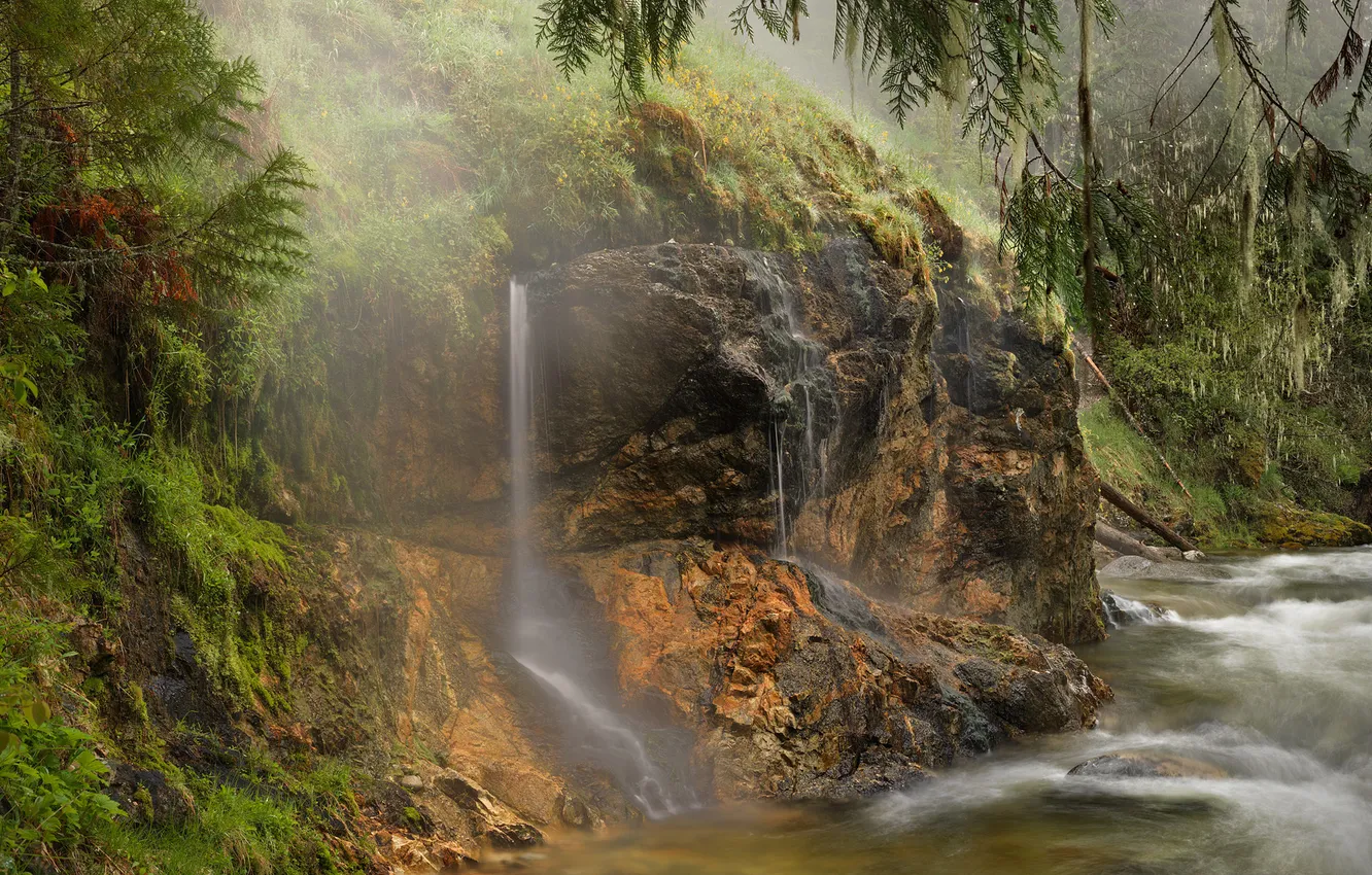 Photo wallpaper forest, river, waterfall