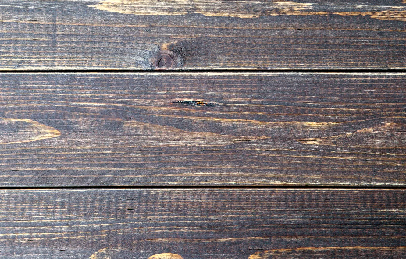 Photo wallpaper trees, Board, color, texture
