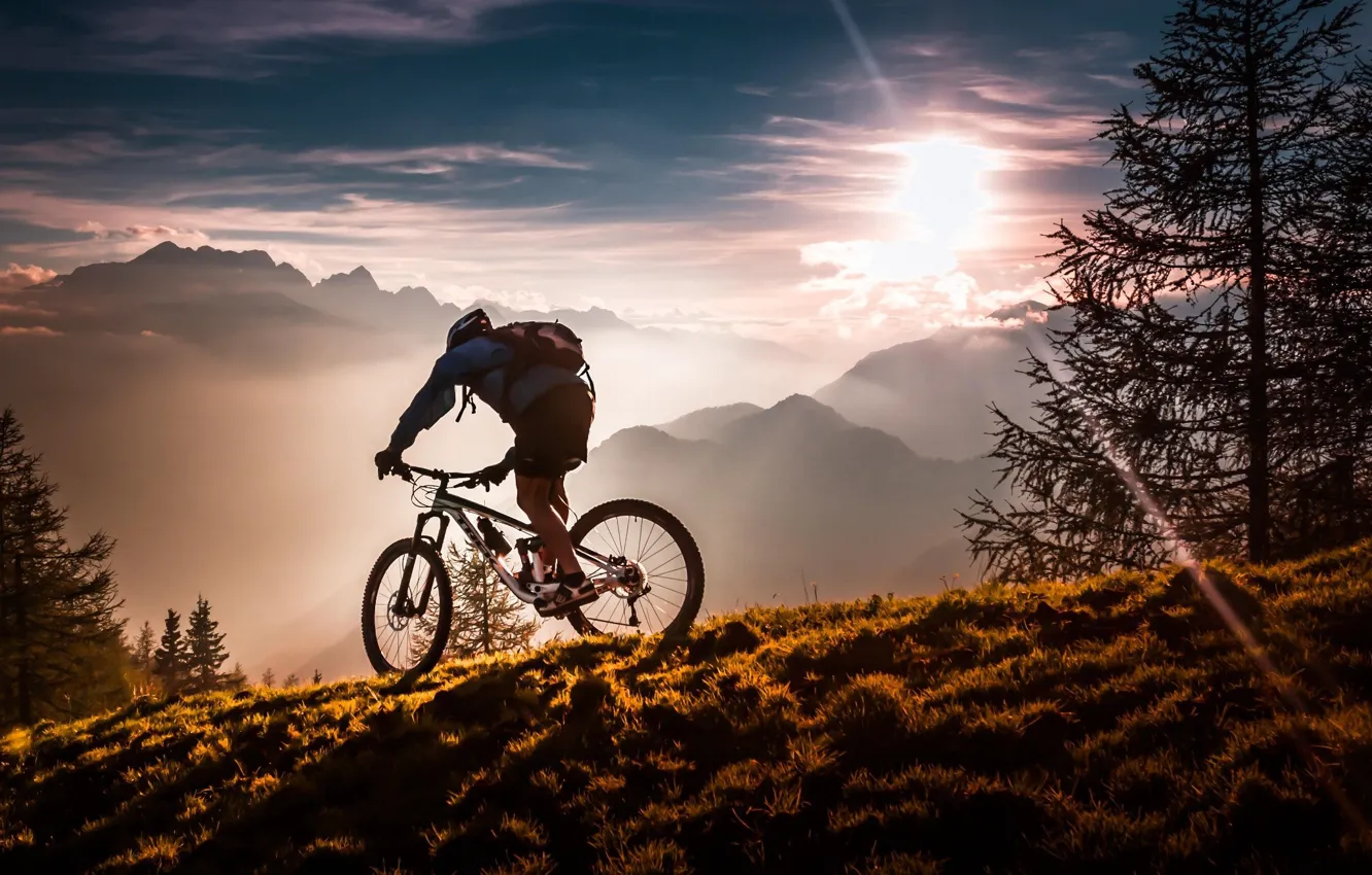 Photo wallpaper sport, forest, bicycle, twilight, sky, bike, trees, sunset