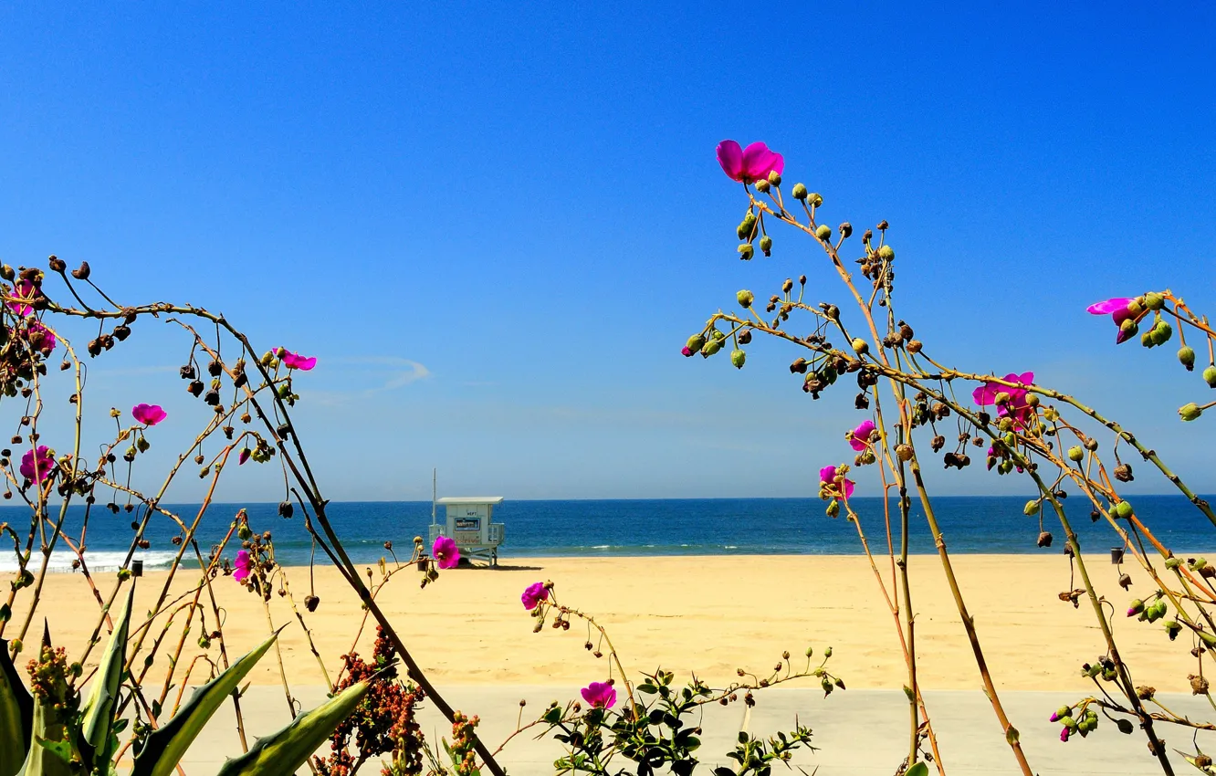 Photo wallpaper sand, sea, beach, the sky, flowers, plant, house