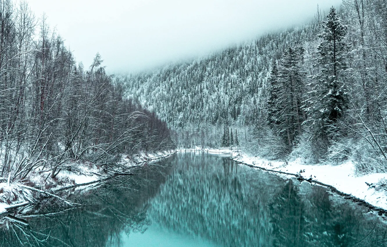 Photo wallpaper winter, forest, snow, landscape, nature, fog, river