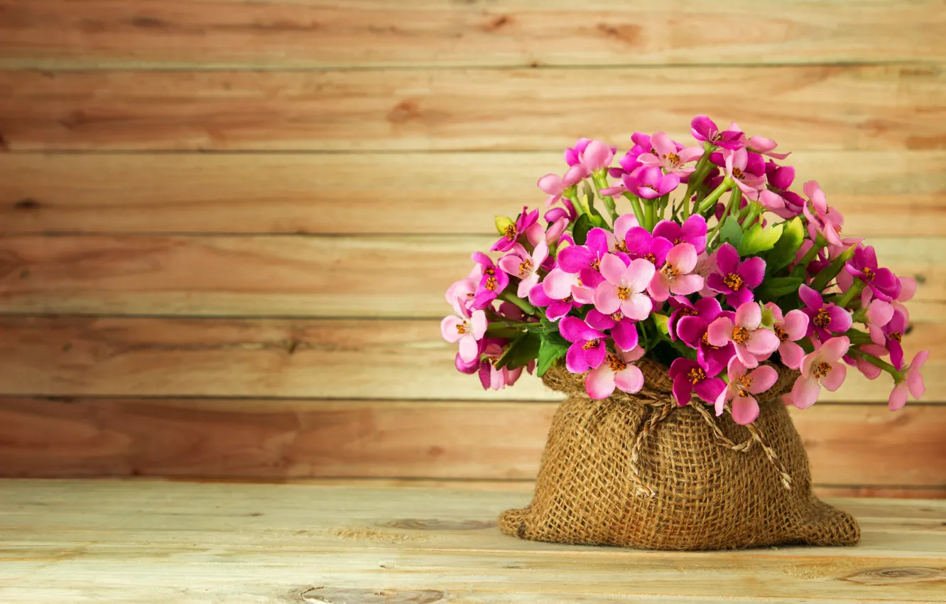 Photo wallpaper flowers, summer, pink, pink, flowers