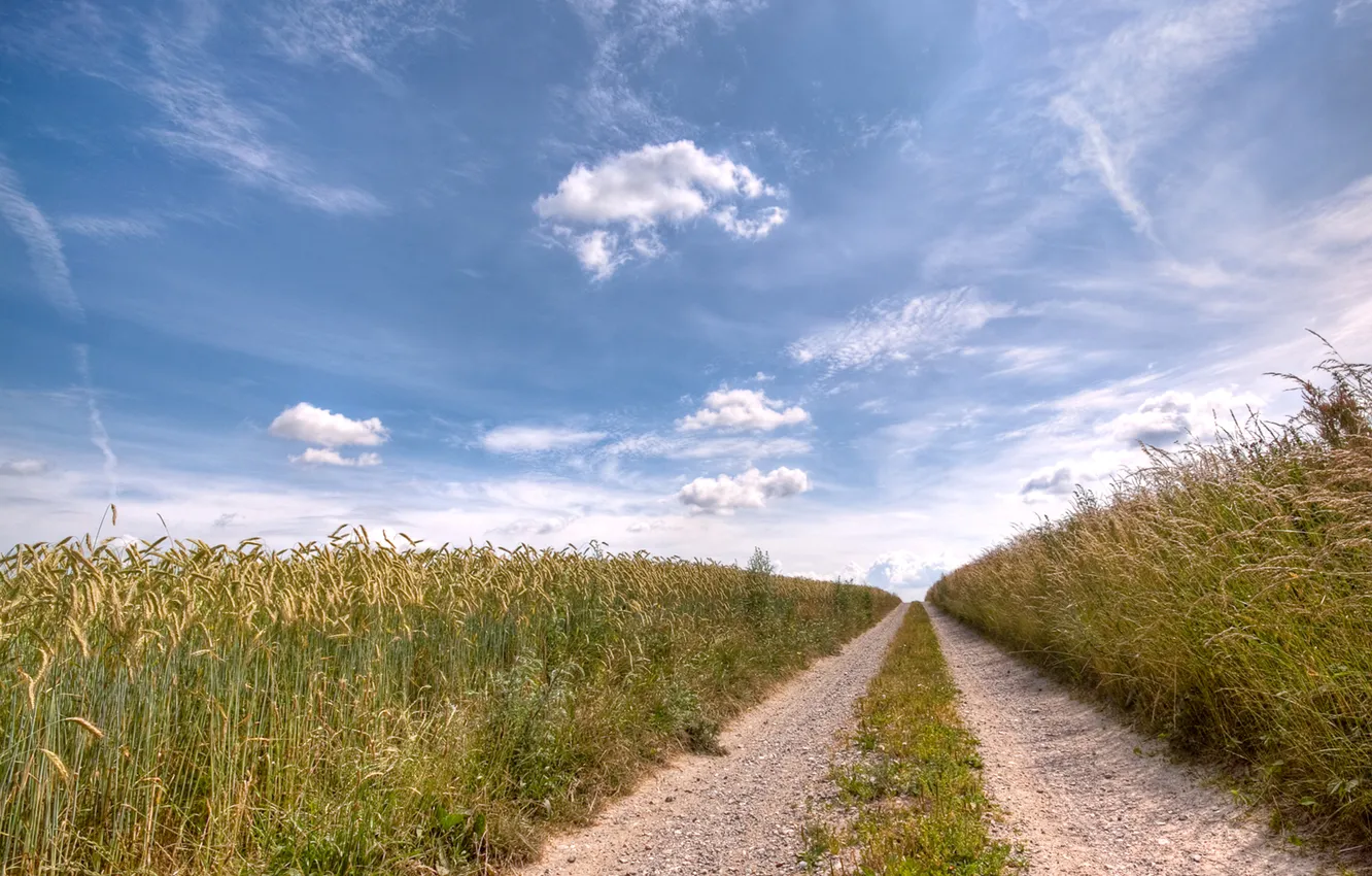 Photo wallpaper road, field, the sky, harvest
