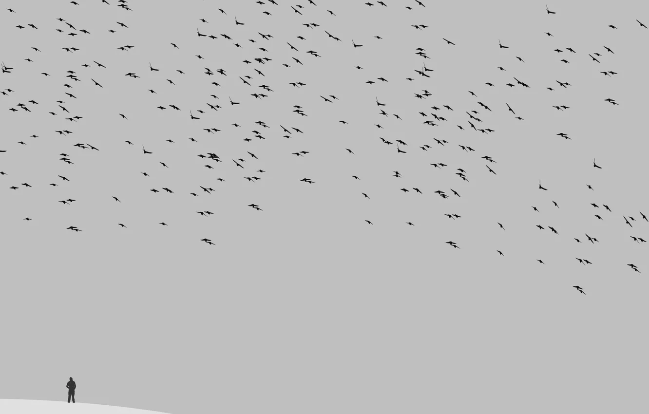 Photo wallpaper the sky, bird, people